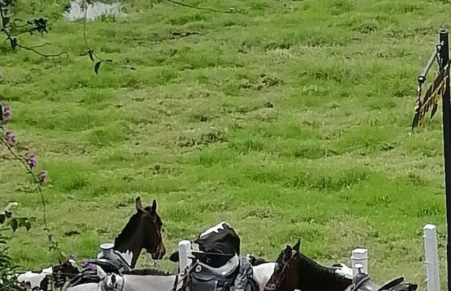 Café de Colores con balcon - Photo 25