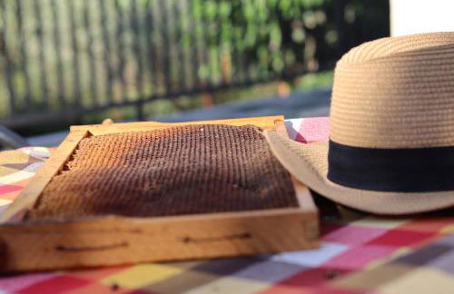 Country Home Genesi 20 min from Trikala - Foto 62