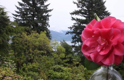 La Camelia d'Oro - Foto 55