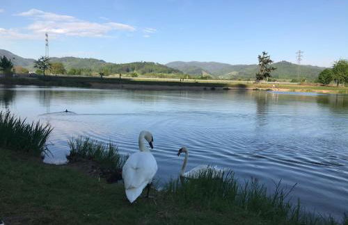 Casa Veli Apartments - Foto 22