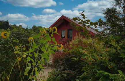 Ferienwohnung und Ferienhaus am Rennsteig bei Eisenach - Angela Jaentsch - Foto 43