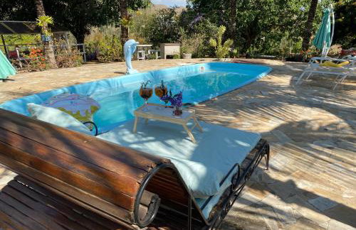 Hospedagem Recanto das Orquideas - Photo 23