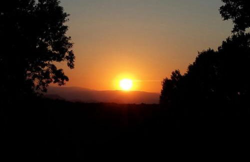 Les 4 mousquetaires - Photo 35