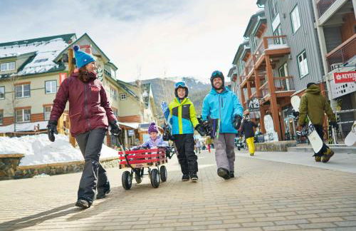 Jackpine & Black Bear Condos by Vail Resorts - Foto 60