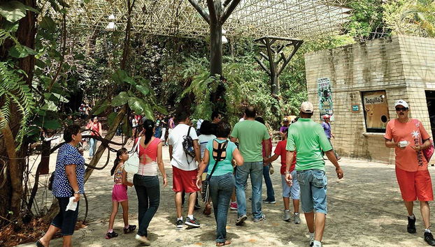 Miradores del Cañón del Sumidero, Zoomat y Cristo de Chiapas - Foto 5