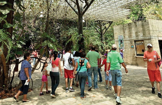 Sumidero Canyon & Cristo de Chiapas Viewpoints + Zoomat Tour - Photo 5