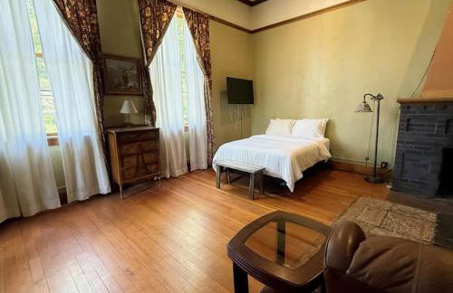 Above the Shot Harrisons Gem - Foto 8