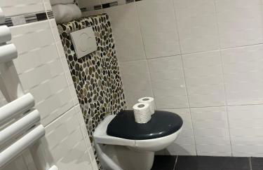 Appart toulousaine avec patio rdc - Foto 9