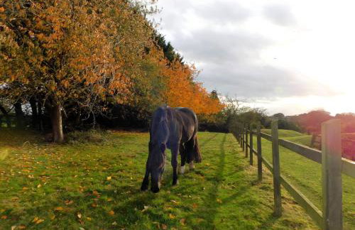 The Paddocks - Foto 15