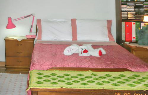 Charming villa with mountain view in Pedraça, pool - Foto 11