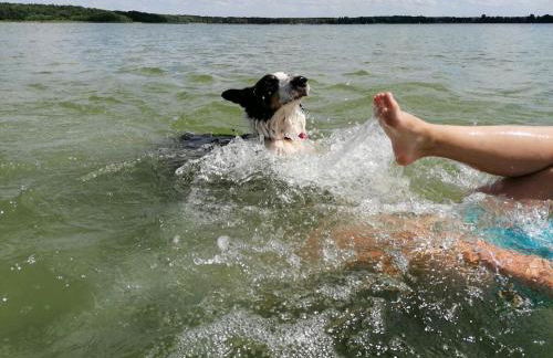 Holiday home in Arendsee with Wi-Fi - Foto 19