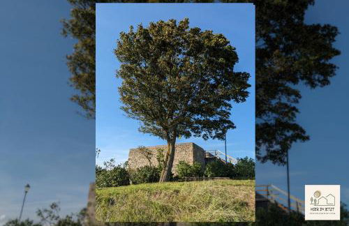 Einzigartige Ferienwohnung -hier im jetzt- - Foto 42