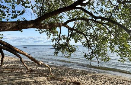 Frisch Saniert Ferienhaus Achterland - Strand, Sauna, Kamin, WLAN und ein großer Garten - Foto 30