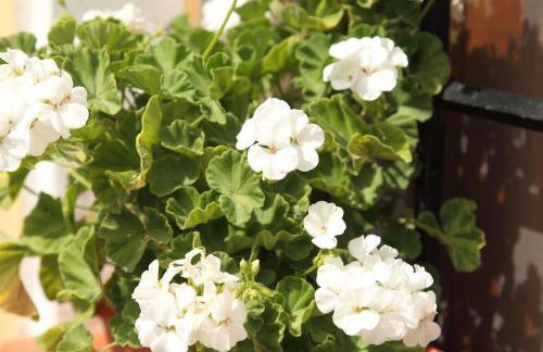 El Molino de Batán - Photo 18