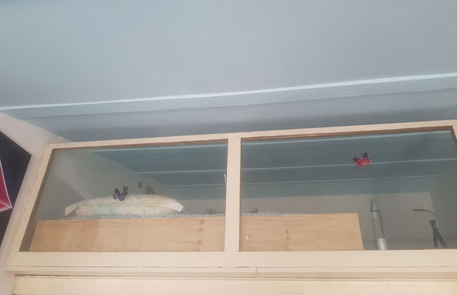 Lovely 2-bed House in Klarici Close to Pula - Foto 7