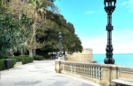 LUMINOSO APARTAMENTO en el centro de Cádiz - Foto 38