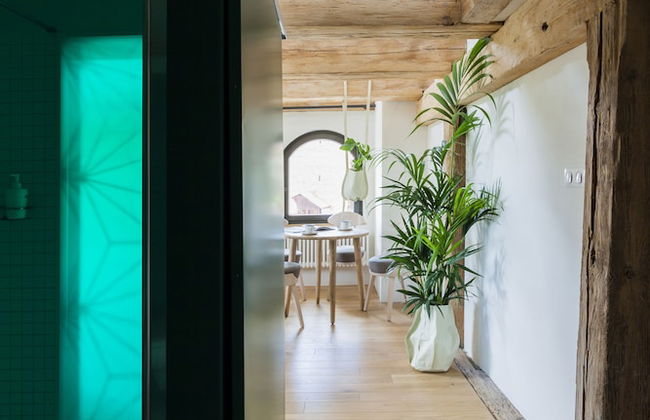 Apartamenty Monka - Photo 23