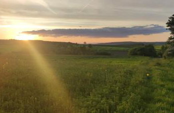 Lohmann's Landhaus zum See - Foto 78