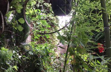 chez la Berthe Colmé - Foto 14