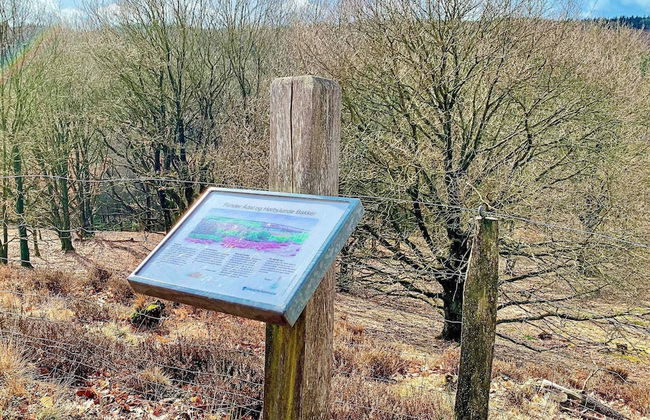 8 Person Holiday Home in Silkeborg-by Traum - Foto 39