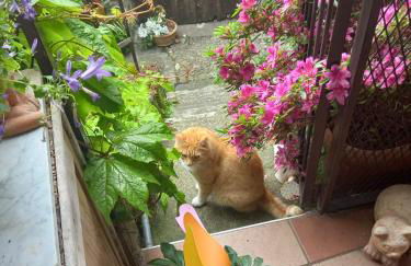 La casa della Cindy - Foto 13