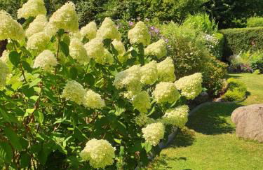 Ferienwohnung Bärbel - Foto 17