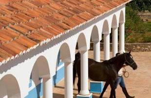 Herdade dos Grous - Foto 36