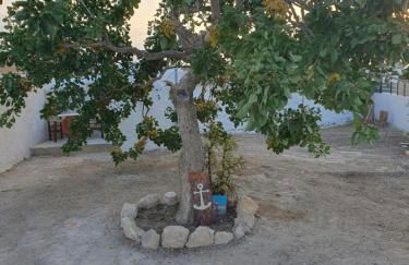 Da Vinci kavouropetra - Foto 45