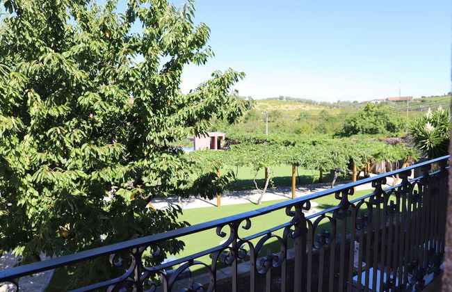 Quinta Vale de Sousa - Douro Valley - Foto 66