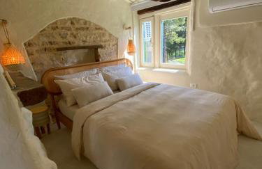 Monte Pino - Photo 17