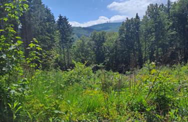 Ferienhaus Wanderlust - Photo 27