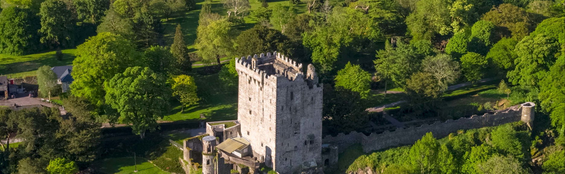 Escursione al Castello di Blarney, Rocca di Cashel e Castello di Cahir