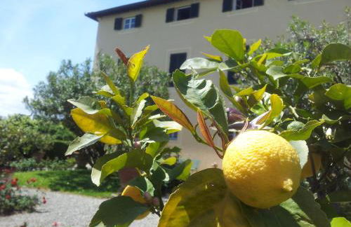 Fattoria Gambaro di Petrognano - Foto 16