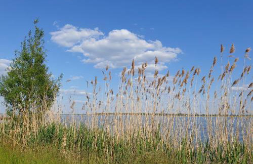 Nadmorska Enklawa - Foto 15