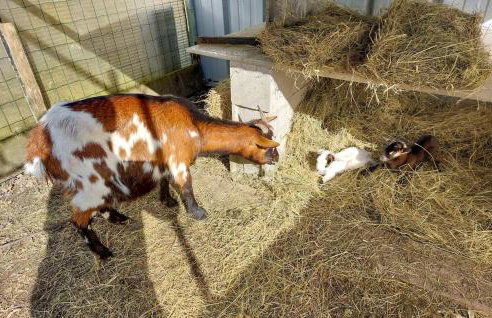 2 Bedroom Cozy Home In Eyraud-Crempse-Maurens - Foto 12