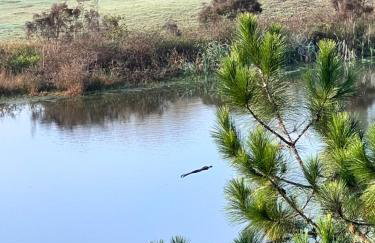 Caddyshack Condo - Foto 12