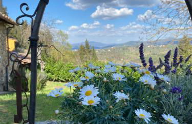 Berenice in Chianti - Authentic Tuscan Country House - Foto 34