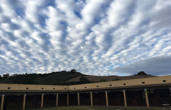 Cavalli di S'Arcaite - Foto 50