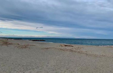 Un petit coin de paradis - Foto 8