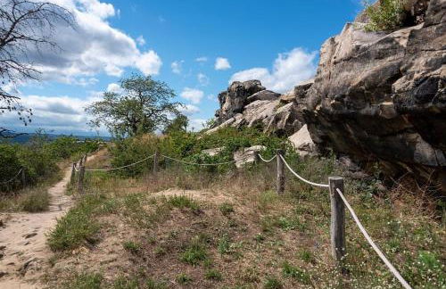 Ferienhaus Nr 32, Typ A, Ferienanlage Blauvogel, Hasselfelde, Harz - Foto 35