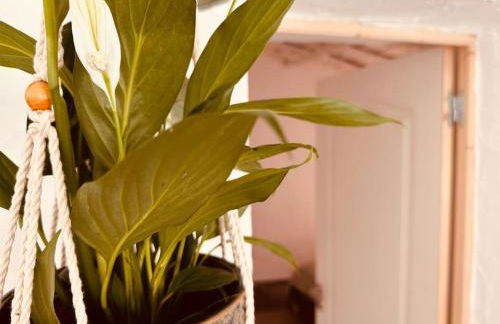 Paraíso do Corval - Foto 60