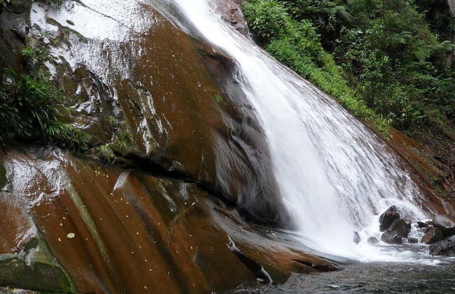 Excursion à Aguaytia - Photo 4
