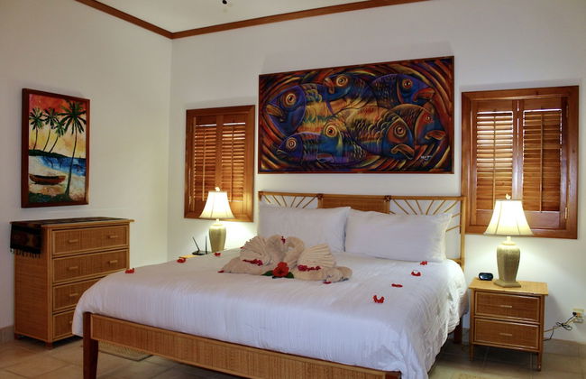 Tara Del Sol - Photo 16