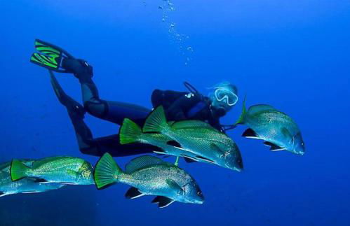 Blue Marine Santa Ponsa - Foto 18