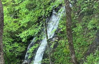 Waterfall Overlook at Bearfoot Falls - Foto 27