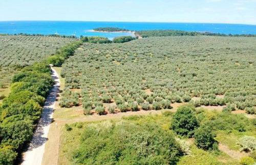 Apartments Vojvoda - Foto 21