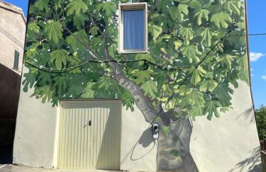 Il Belvedere di Montiano - Foto 6