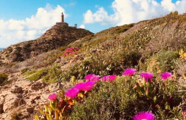 Antica Casa Tabarkina - Foto 27