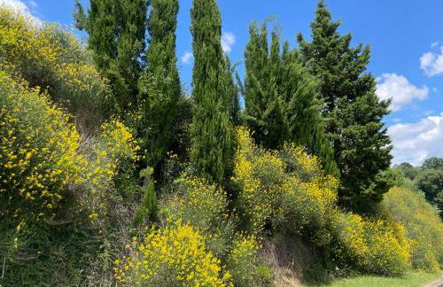 RESORT Panoramico Canale Suite - private parking - Natural Park - Photo 79