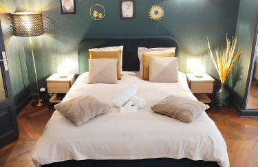 Nancy Vieille Ville Stanislas - Foto 67